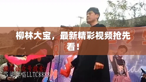 柳林大宝,最新精彩视频抢先看!