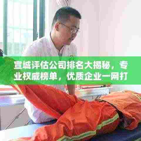 宣城评估公司排名大揭秘，专业权威榜单，优质企业一网打尽！