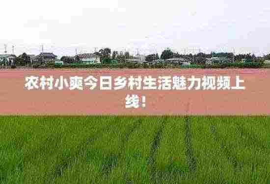 农村小爽今日乡村生活魅力视频上线!