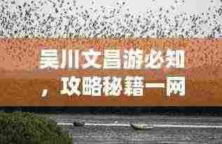 吴川文昌游必知，攻略秘籍一网打尽！