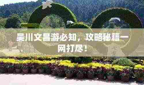 吴川文昌游必知,攻略秘籍一网打尽!