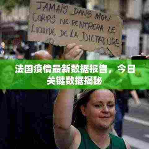 法国疫情最新数据报告，今日关键数据揭秘