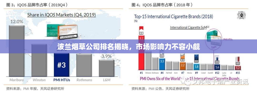波兰烟草公司排名揭晓，市场影响力不容小觑
