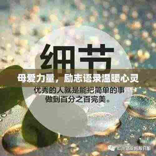 母爱力量,励志语录温暖心灵