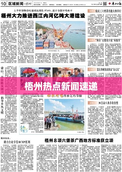 贵阴贱璧 第3页