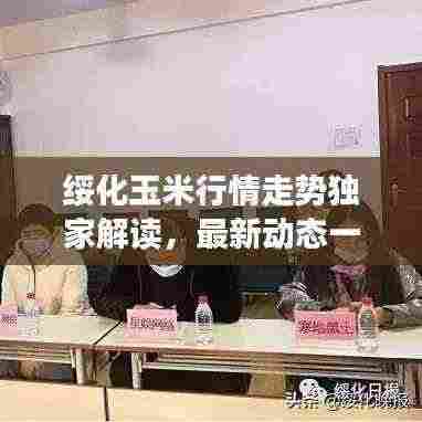 绥化玉米行情走势独家解读,最新动态一网打尽