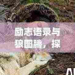 励志语录与狼图腾,探寻成功的智慧之源