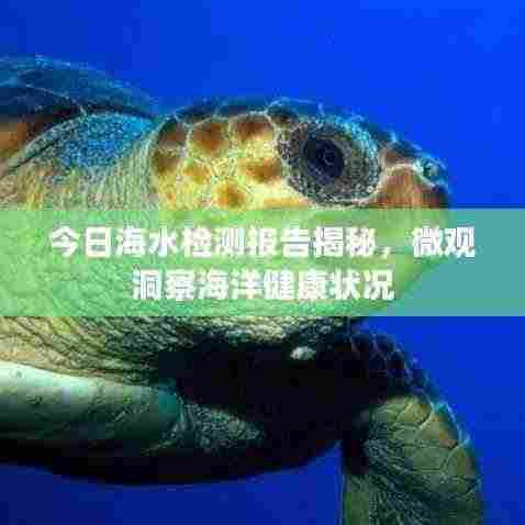 今日海水检测报告揭秘,微观洞察海洋健康状况