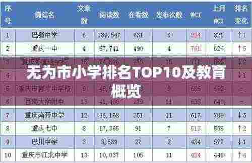 无为市小学排名TOP10及教育概览