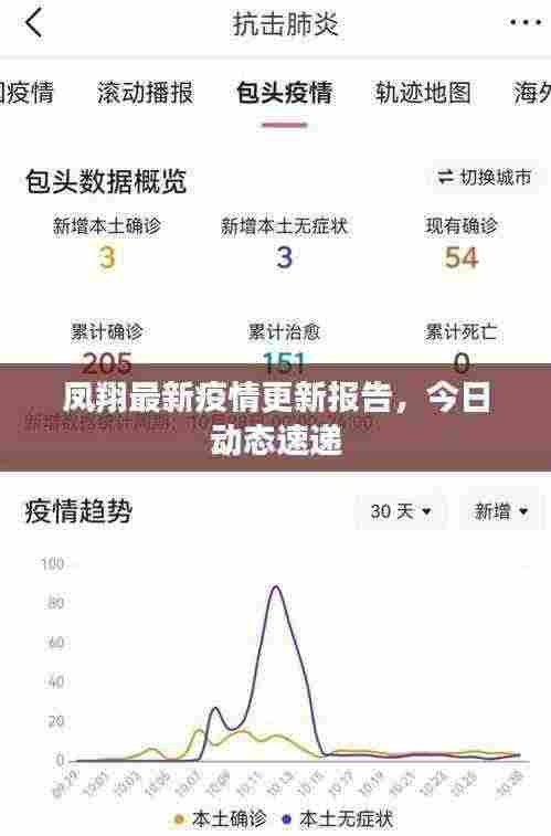 凤翔最新疫情更新报告,今日动态速递