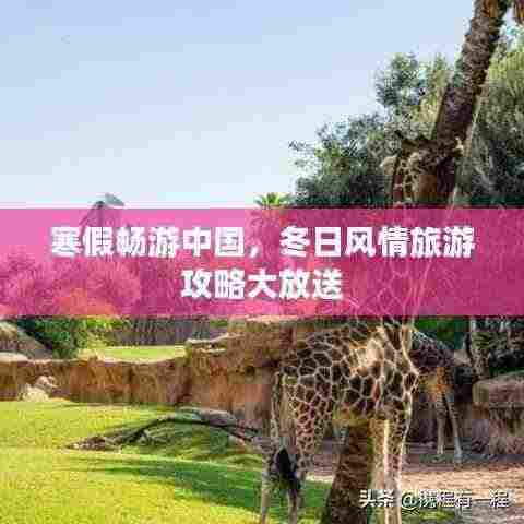 寒假畅游中国,冬日风情旅游攻略大放送