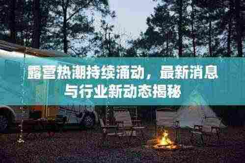 露营热潮持续涌动,最新消息与行业新动态揭秘