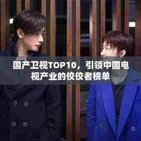 国产卫视TOP10，引领中国电视产业的佼佼者榜单
