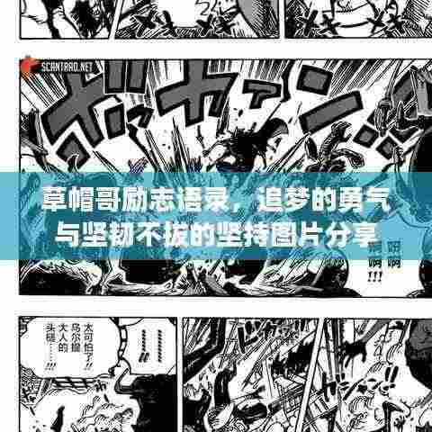 草帽哥励志语录，追梦的勇气与坚韧不拔的坚持图片分享