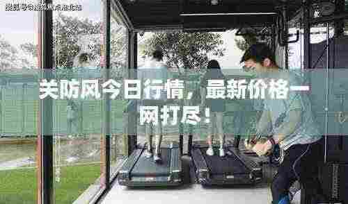 关防风今日行情，最新价格一网打尽！