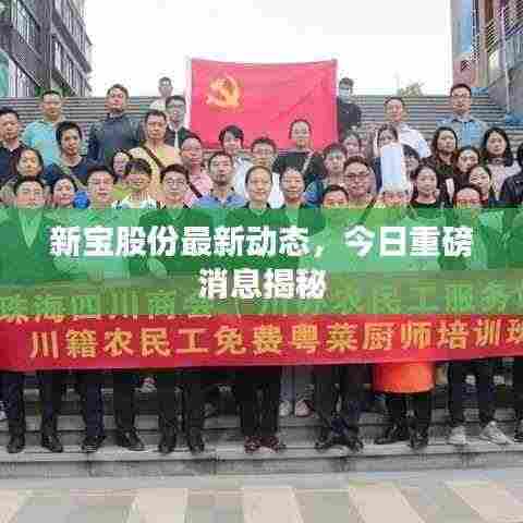 新宝股份最新动态，今日重磅消息揭秘