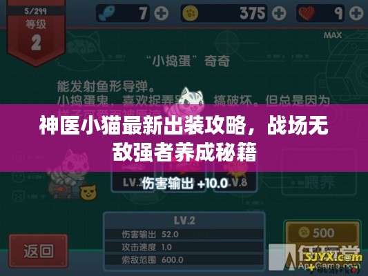 神医小猫最新出装攻略，战场无敌强者养成秘籍