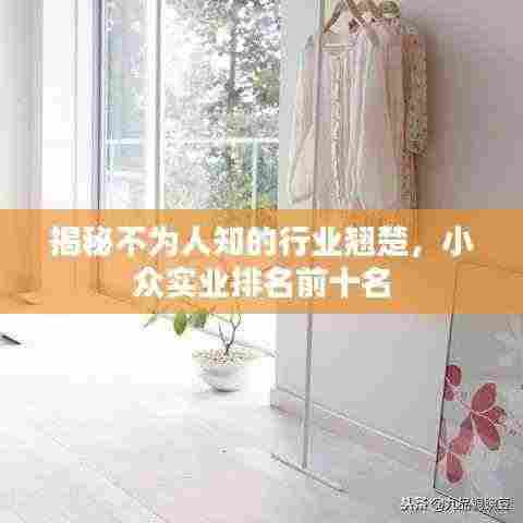 揭秘不为人知的行业翘楚,小众实业排名前十名