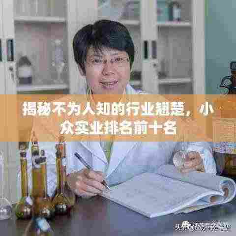 揭秘不为人知的行业翘楚,小众实业排名前十名