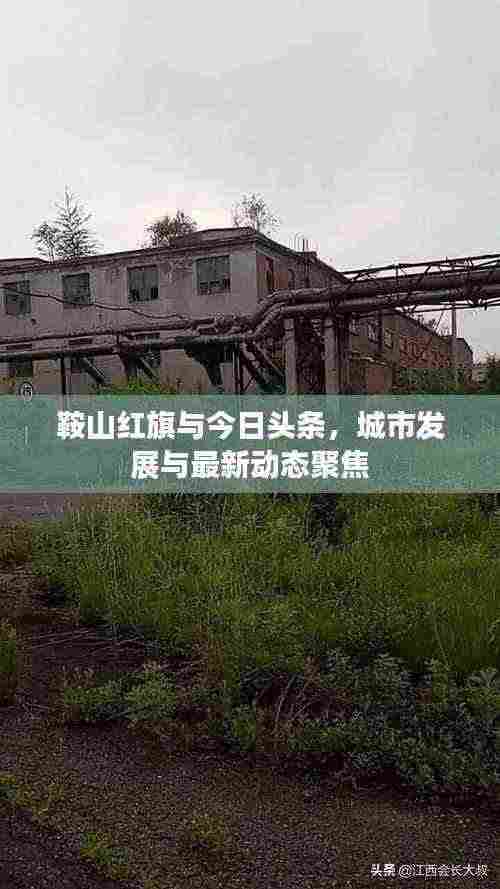 鞍山红旗与今日头条,城市发展与最新动态聚焦