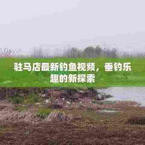 驻马店最新钓鱼视频，垂钓乐趣的新探索
