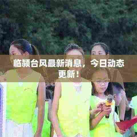 临颍台风最新消息，今日动态更新！