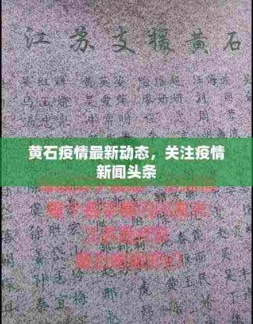黄石疫情最新动态,关注疫情新闻头条