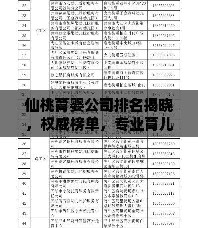 仙桃育婴公司排名揭晓,权威榜单,专业育儿服务一览无余!