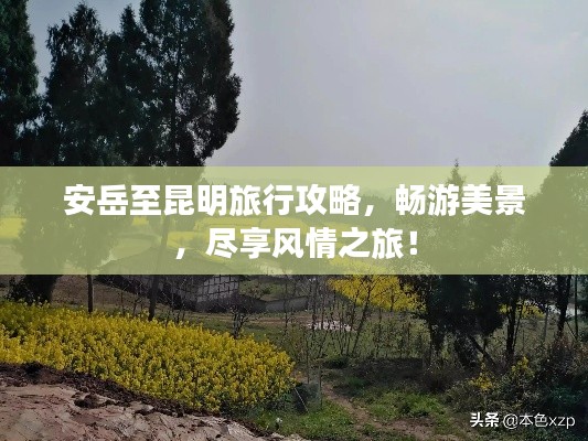 安岳至昆明旅行攻略,畅游美景,尽享风情之旅!