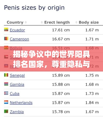 揭秘争议中的世界阳具排名国家,尊重隐私与文化差异,共建和谐社会氛围