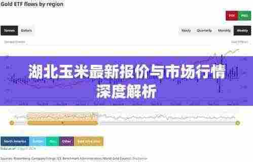 湖北玉米最新报价与市场行情深度解析