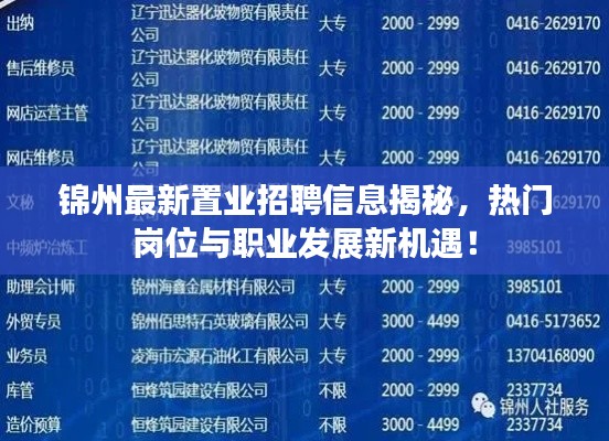 锦州最新置业招聘信息揭秘,热门岗位与职业发展新机遇!