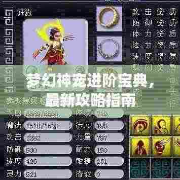 梦幻神宠进阶宝典,最新攻略指南