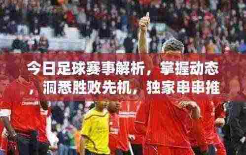 今日足球赛事解析,掌握动态,洞悉胜败先机,独家串串推荐!
