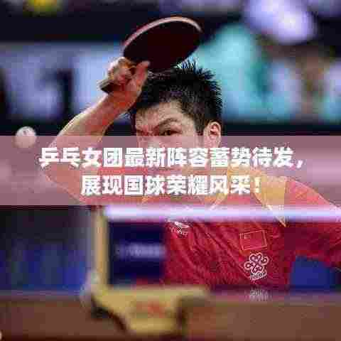 乒乓女团最新阵容蓄势待发,展现国球荣耀风采!
