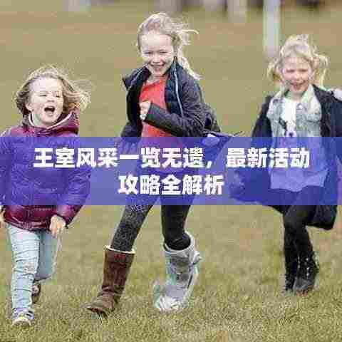 王室风采一览无遗,最新活动攻略全解析