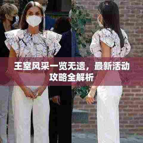王室风采一览无遗,最新活动攻略全解析