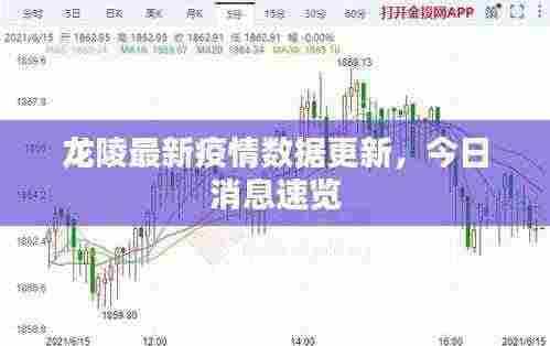 龙陵最新疫情数据更新,今日消息速览