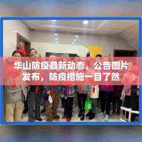 华山防疫最新动态，公告图片发布，防疫措施一目了然