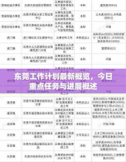 东莞工作计划最新概览,今日重点任务与进展概述