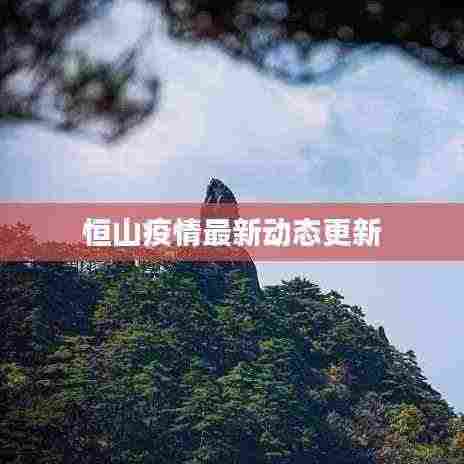 恒山疫情最新动态更新