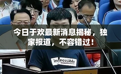 今日于欢最新消息揭秘,独家报道,不容错过!