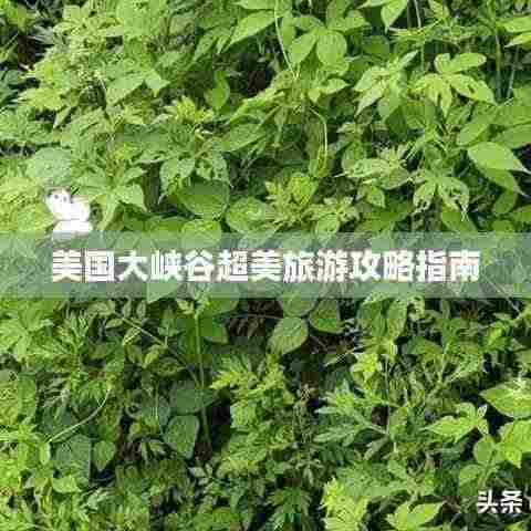 美国大峡谷超美旅游攻略指南