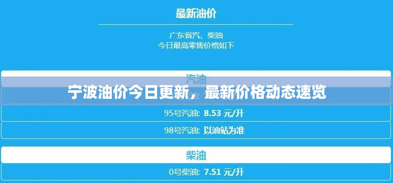 宁波油价今日更新,最新价格动态速览