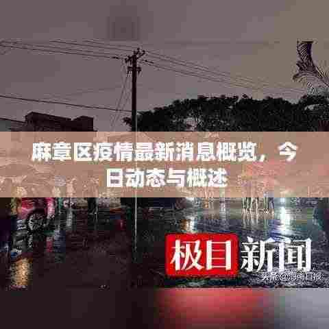 麻章区疫情最新消息概览，今日动态与概述