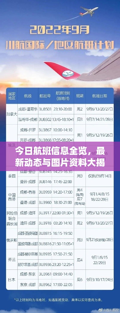 今日航班信息全览,最新动态与图片资料大揭秘