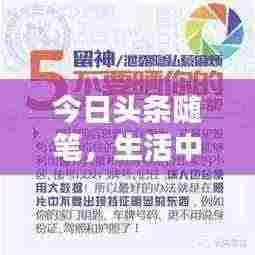 今日头条随笔,生活中的点滴美好探索