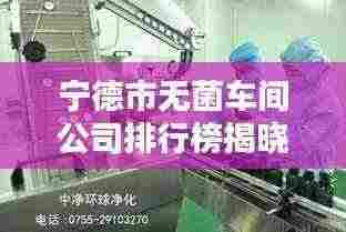 宁德市无菌车间公司排行榜揭晓!专业排名一览无余