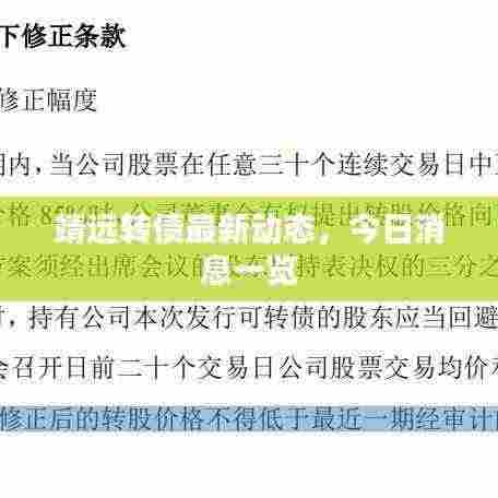 靖远转债最新动态,今日消息一览