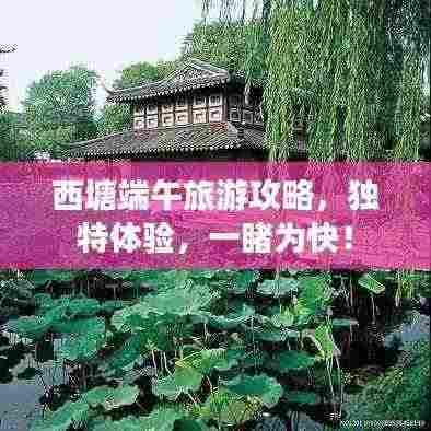 西塘端午旅游攻略,独特体验,一睹为快!